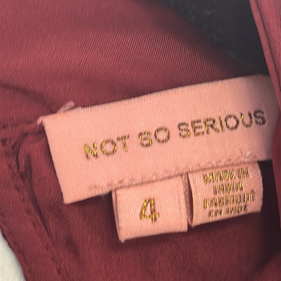 NWOT Anthropologie Wine Dress with Long Bishop Sleeves - Picture 14 of 14